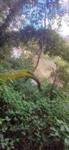 plou5