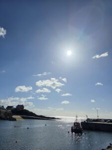 thumbnail (6)