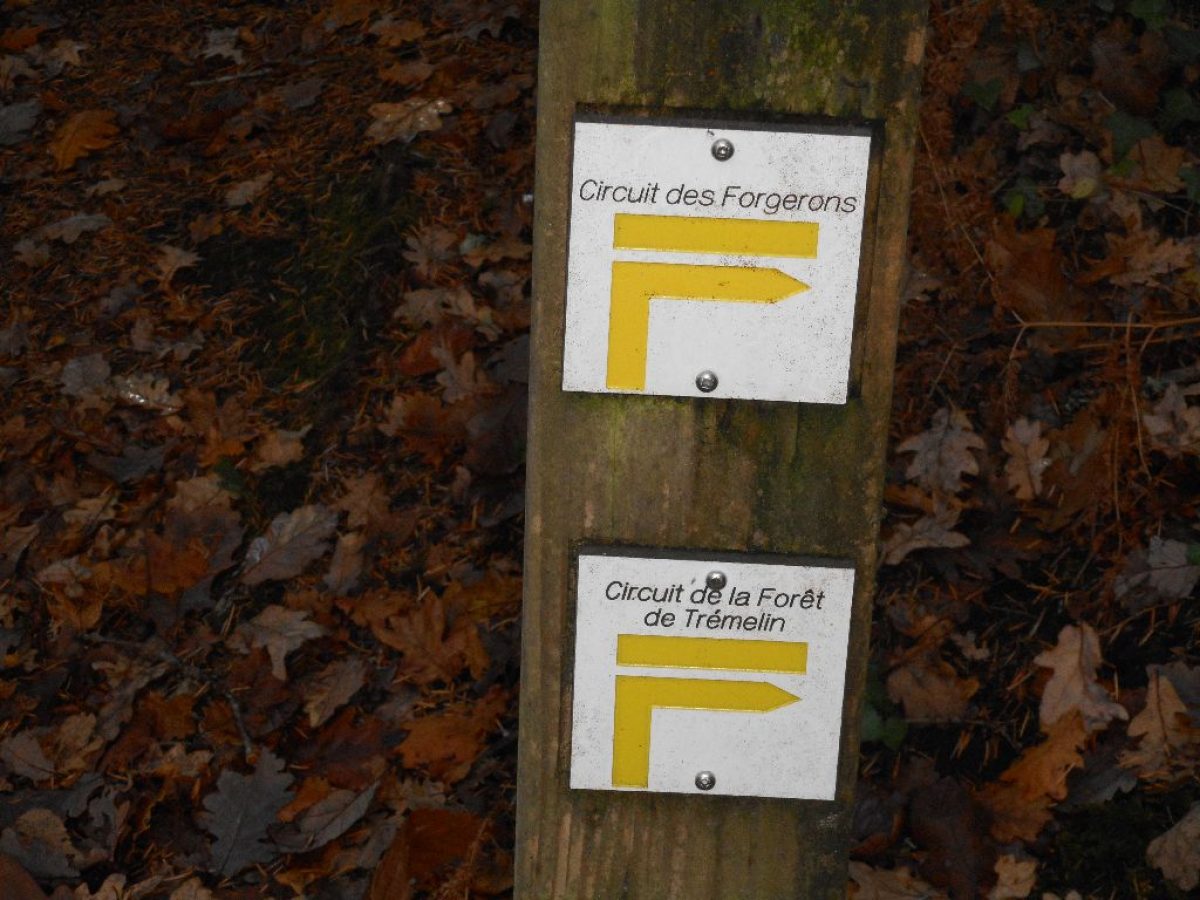 DSCN0971